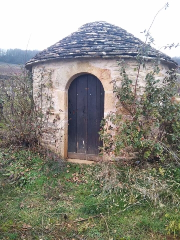 WhatsApp Image 2022-01-21 at 12.40.17