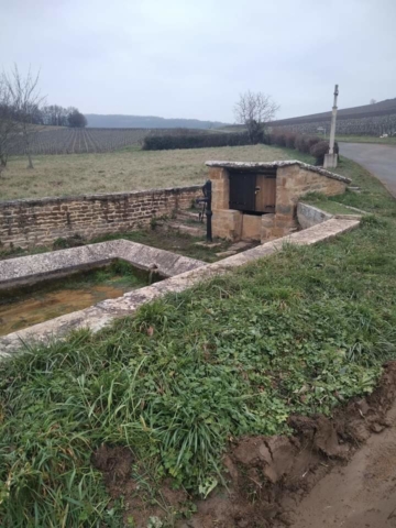 WhatsApp Image 2022-01-21 at 12.40.18