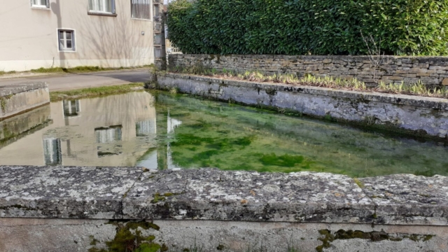 WhatsApp Image 2022-02-18 at 10.41.20