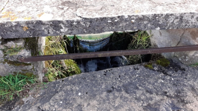 WhatsApp Image 2022-02-18 at 10.41.20 (2)