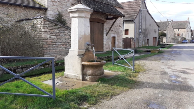 WhatsApp Image 2022-02-18 at 10.41.21