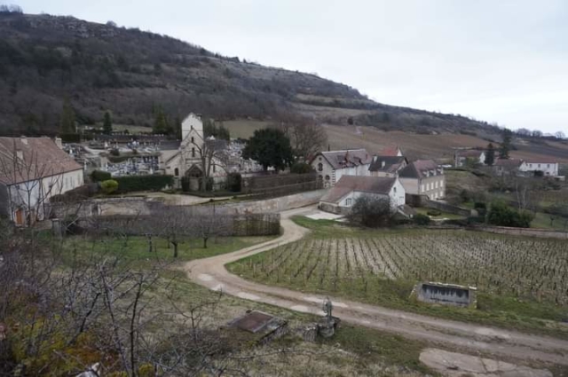 WhatsApp Image 2022-02-23 at 08.30.50