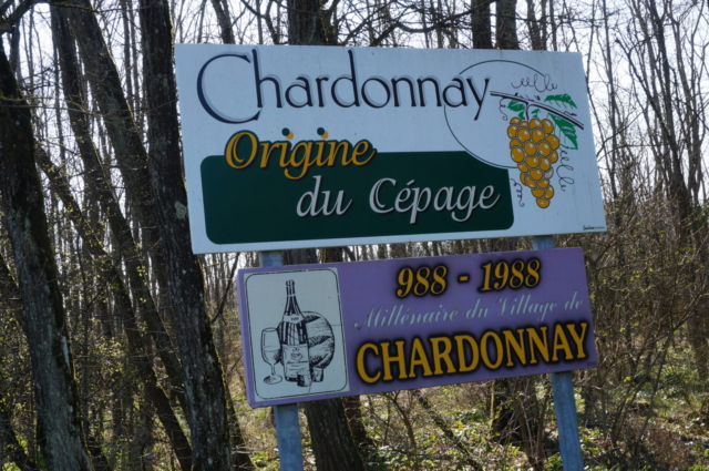 Pancarte du Chardonnay