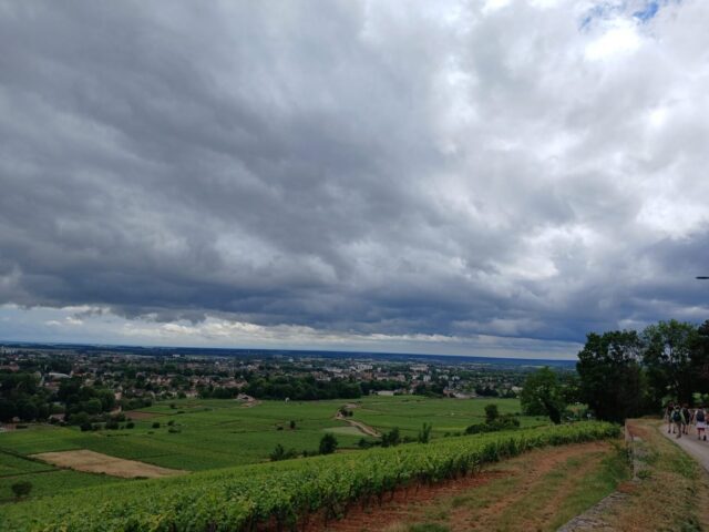 IMG-20260602-WA0005