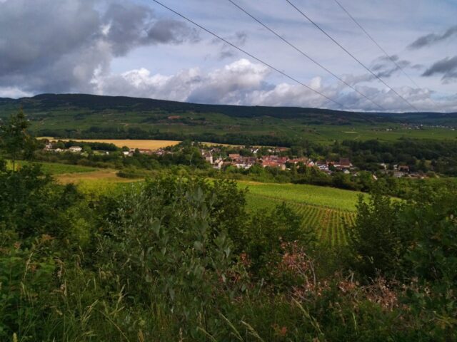 IMG_20260609_094149