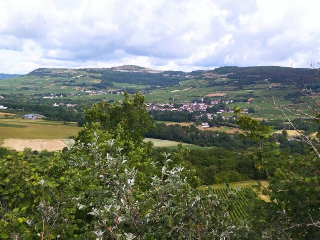 IMG_20260609_095704