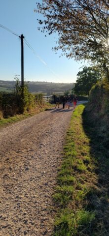 IMG_20260922_084703