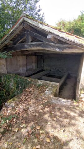 IMG_20260929_125817