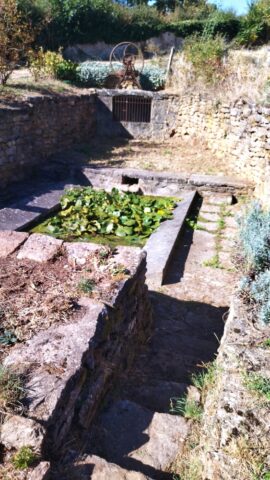 IMG_20261006_145636