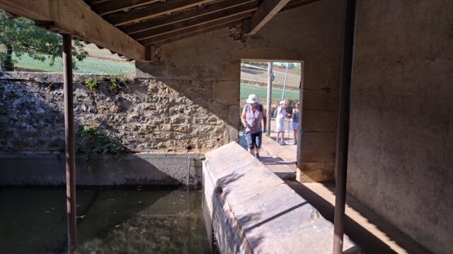 IMG_20261006_152738