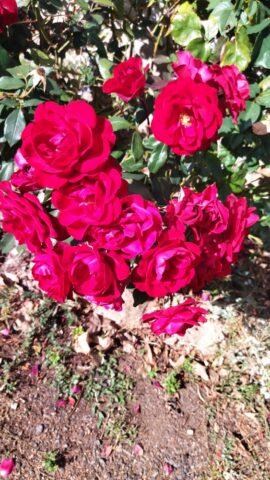 IMG_20261006_153106